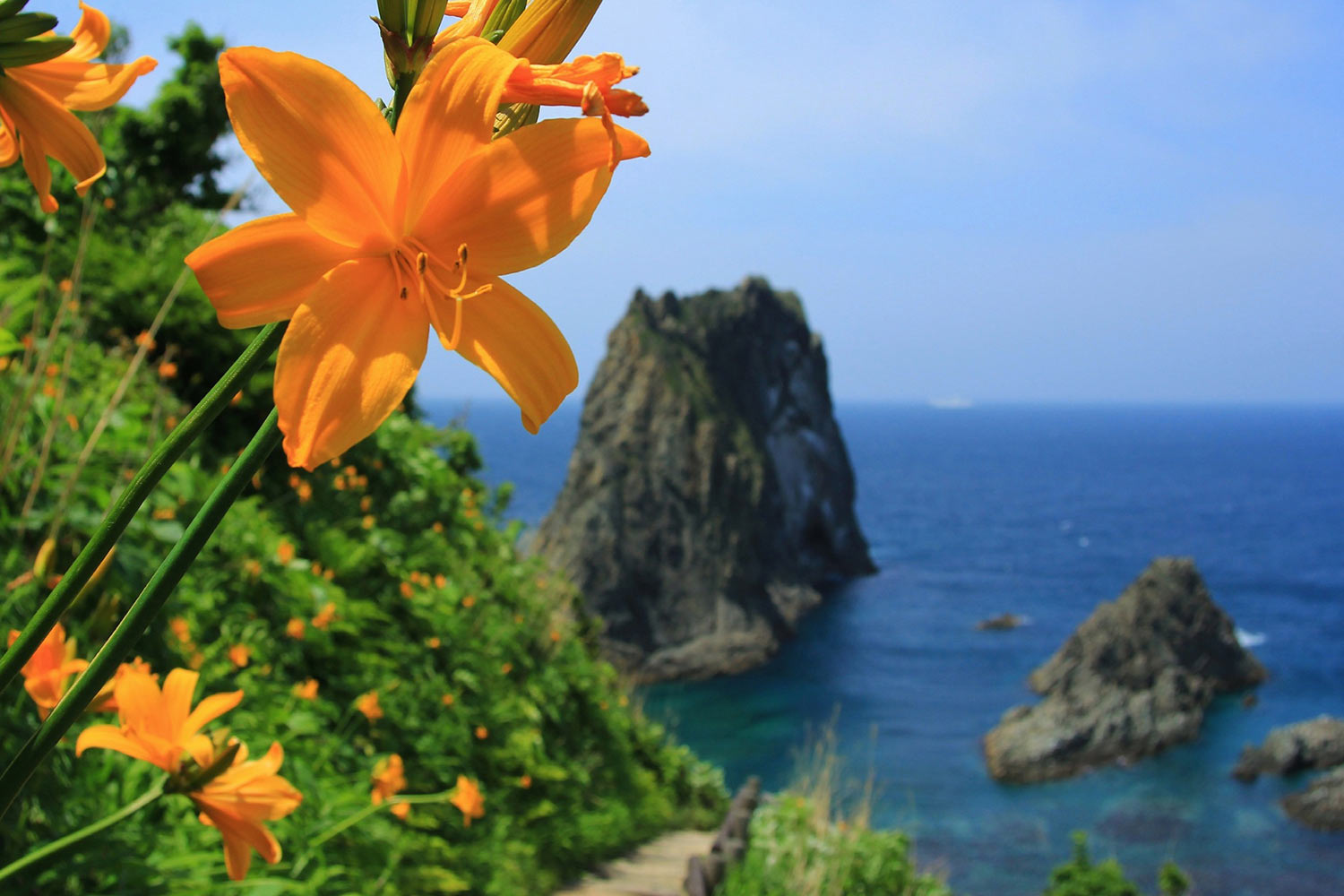 積丹半島