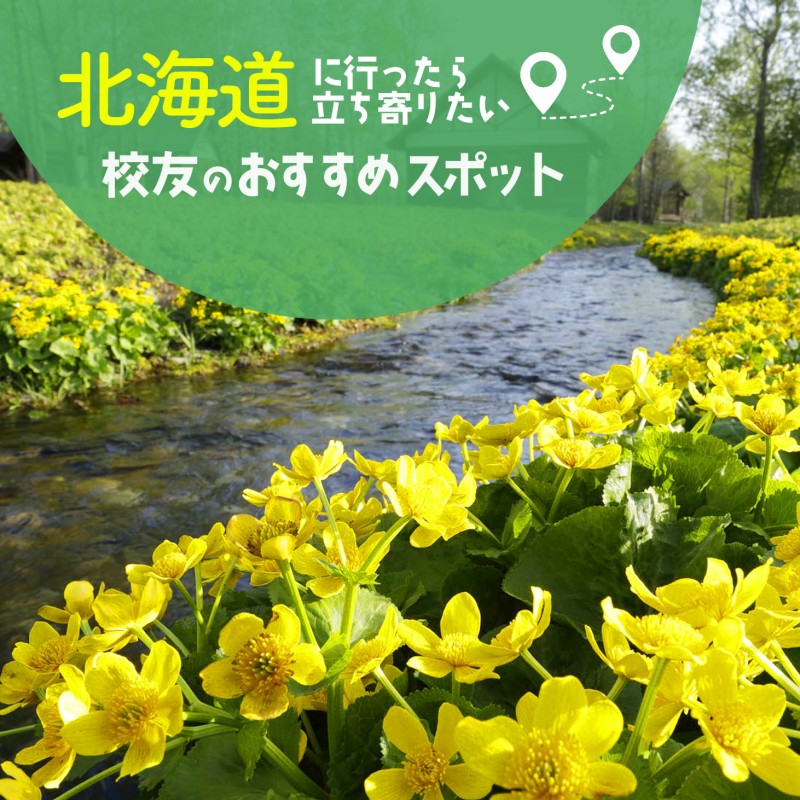 校友のおすすめスポット
