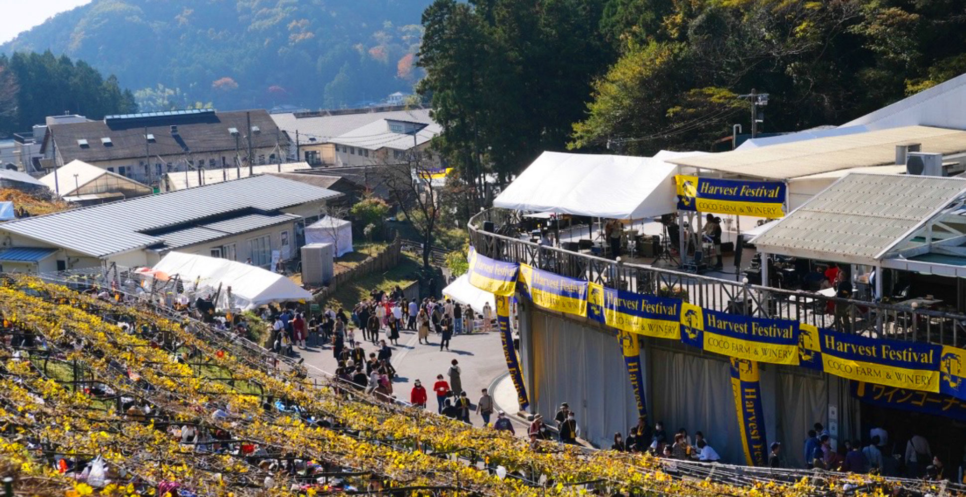 毎年11月にワインのイベント収穫祭を開催している