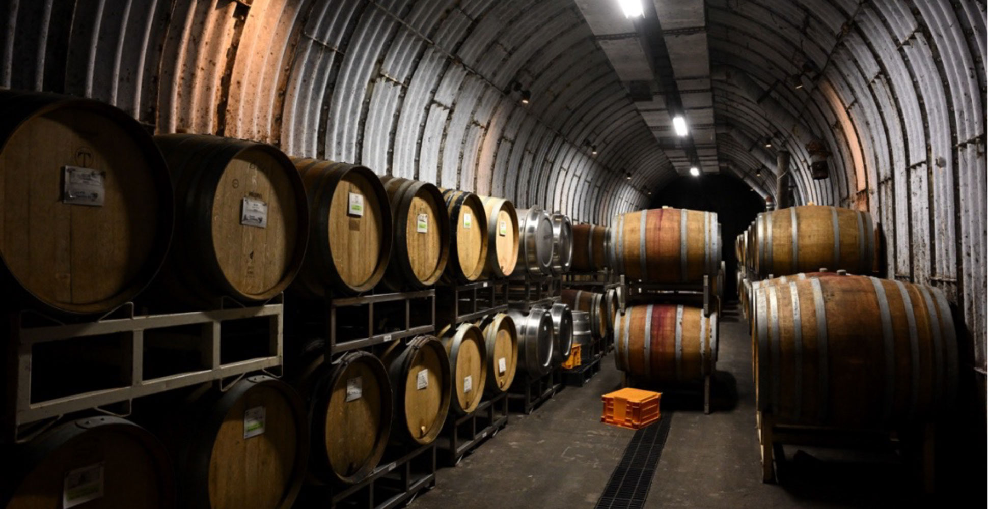 オーク樽に詰められたワインが眠る天然の貯蔵庫は、ブドウ畑の反対側の山の岩盤をくり抜いて作った。30度を超す夏の猛暑日でもワインの保存に適した12〜15度を保つ。ワイナリー見学では貯蔵庫へも案内してくれる