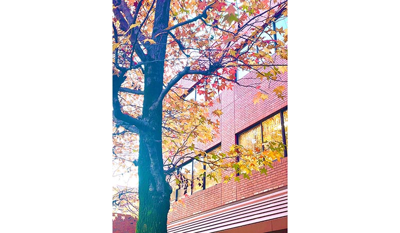 情報学部メディア表現学科卒業 緒方　海碧さん